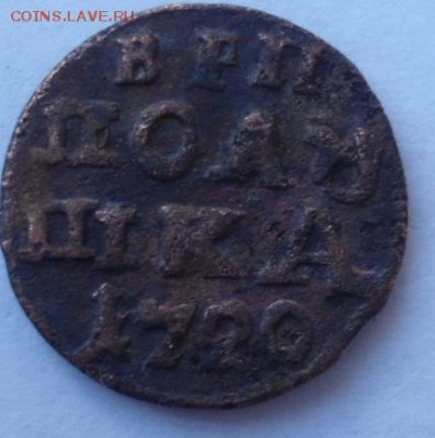 полушки Петра1-1707(2),1716,1718,1718,1720(2),1721,1722(2) - DSC01423.JPG