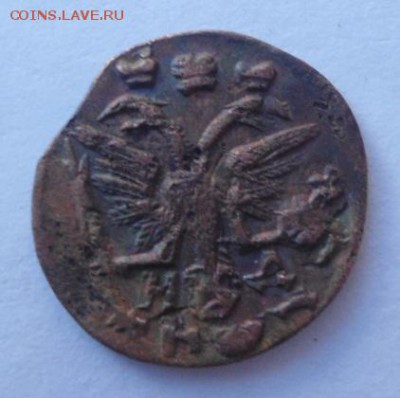 полушки Петра1-1707(2),1716,1718,1718,1720(2),1721,1722(2) - DSC01424.JPG
