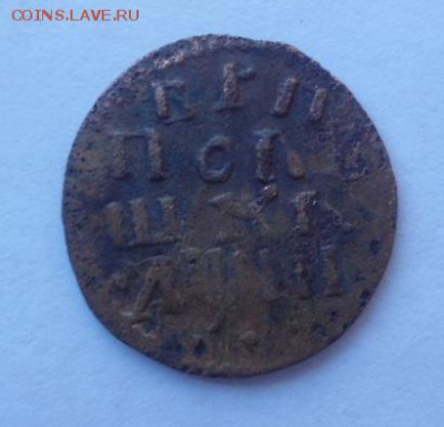 полушки Петра1-1707(2),1716,1718,1718,1720(2),1721,1722(2) - DSC01427.JPG