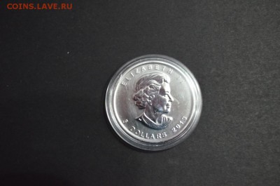 Канадские 5$, Бизон, 2013 год - DSC_0836.JPG
