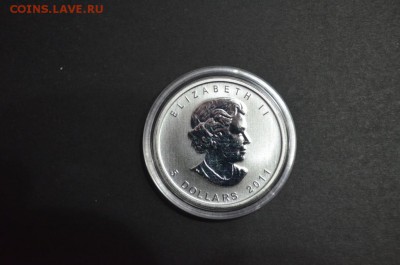 Канадские 5$, Гризли, 2011 год - DSC_0838.JPG