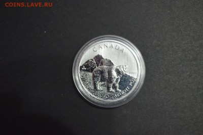 Канадские 5$, Гризли, 2011 год - DSC_0837.JPG