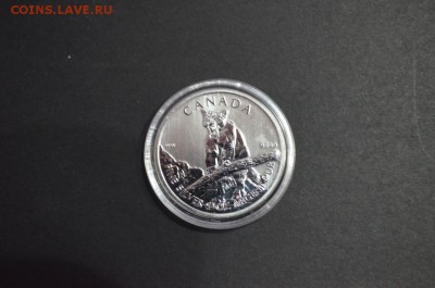 Канадские 5$, Пума, 2012 год - DSC_0841.JPG