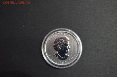 Канадские 5$, Газель, 2013 год - DSC_0840.JPG