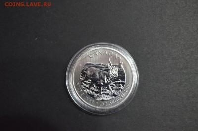 Канадские 5$, Газель, 2013 год - DSC_0839.JPG
