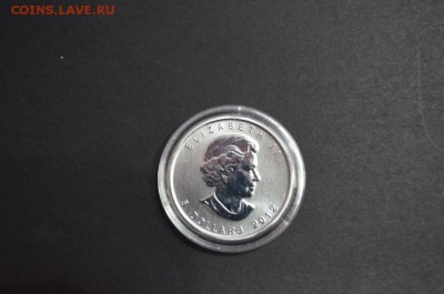 Канадские 5$, Лось, 2012 год - DSC_0844.JPG