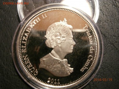 ТРИСТАН ДА КУНЬЯ 2011г. МОРСКОЙ КОТИК до 20.03 - P3190039.JPG