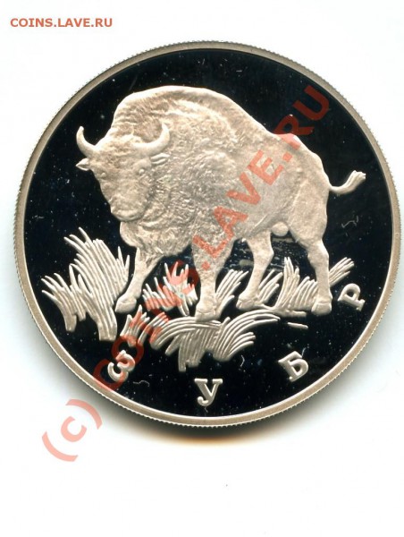 1 р., серебро, Зубр, 97 г., до 28.02.10 в 22.00 по МСК - Зубр.JPG