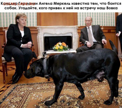 Ну а теперь про Украину - vfcca28hmkc