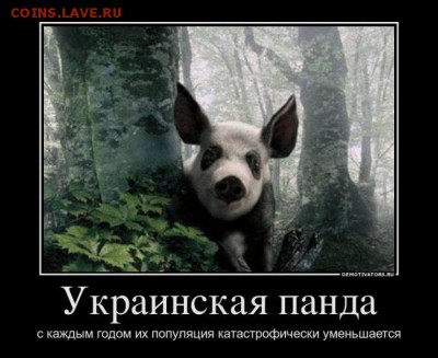 юмор - Demotivators_23
