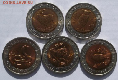 Красная книга 1991-1992  до 25 марта  23-00 мск - DSCF0012