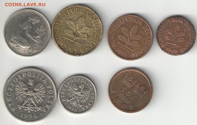 европейская солянка - лот4