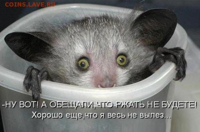 делает - прямо сейчас !!! - 13953957734967885