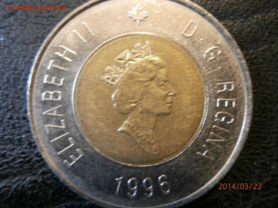 КАНАДА 2 доллара БМ 1996г.МЕДВЕДЬ до 23.03 - P3220004.JPG