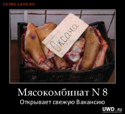 юмор - 1329735846_demotivatory_01