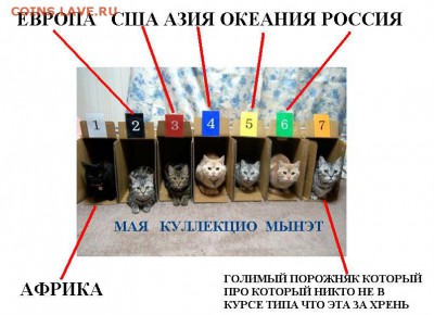 делает - прямо сейчас !!! - Лиднер классик альбом гиперлюкс фантастиш.JPG