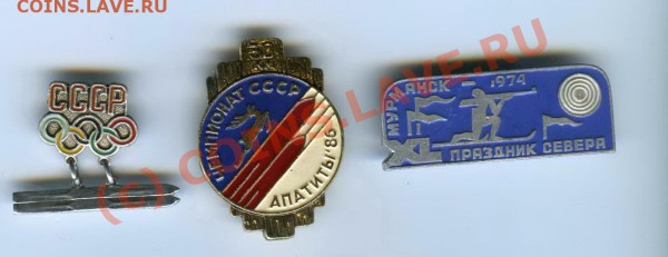 Значки спортивные - лыжи