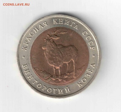 Красная книга 91 год, Винторогий козел. - 113