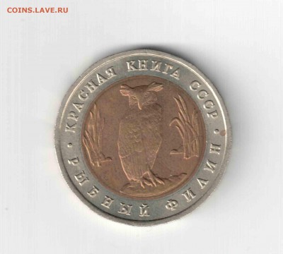 Красная книга 91 год, Рыбный филин. - 114
