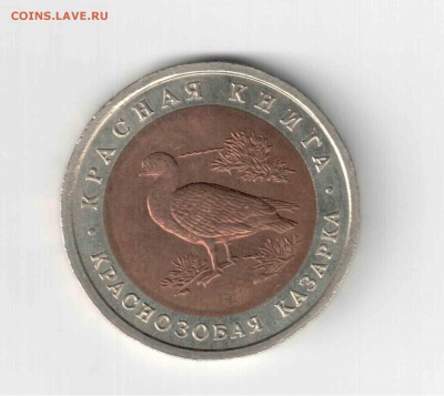 Красная книга 92 год, Краснозобая казарка. - 115