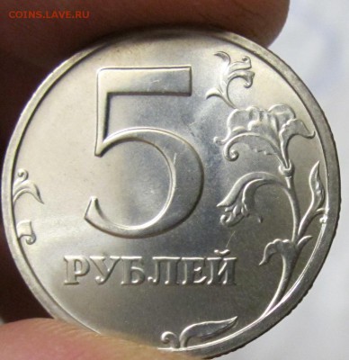 5р. 2003. Пруфлайк? - IMG_9135