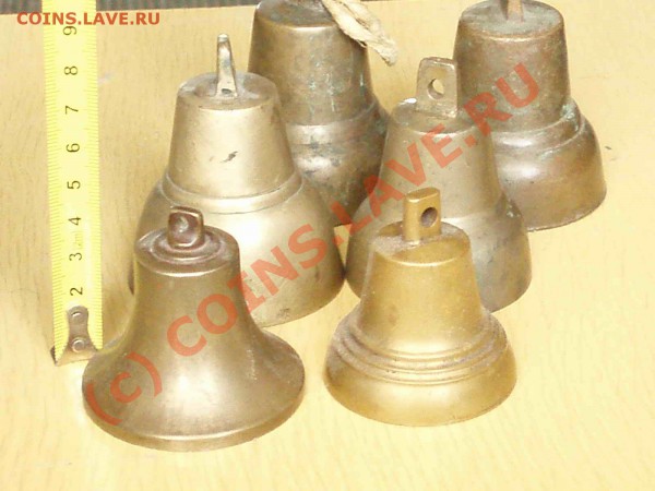 Колокольчик бр. Поповых - P3017265