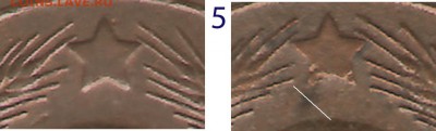 5 коп. 1924 ЗШ выпуклый - 5