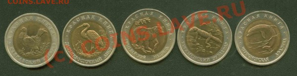 Фауна 1993 г. до 4.03 21Мск - Фауна Р