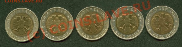 Фауна 1993 г. до 4.03 21Мск - Фауна А