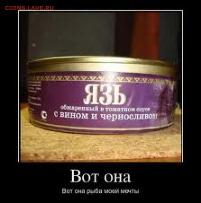 юмор - 32950ef0a562bc10