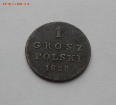1 грош Польша 1828 FH до 31.03 не плохая до 31.03 - 30 1 пол грош рев