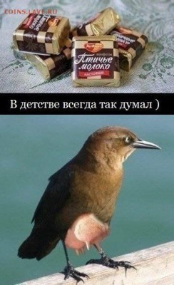 юмор - big (9)