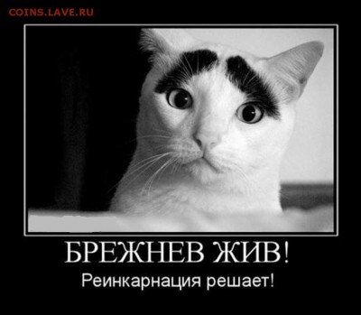 юмор - 7167126qen