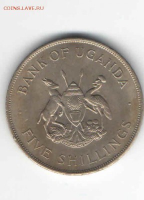 УГАНДА 5 ШИЛЛИНГОВ 1968 до 2.04 - 1121