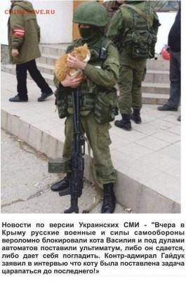 Ну а теперь про Украину - Кот