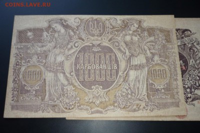 Украина 1000 карбованцев 1918 г. в качестве - 3