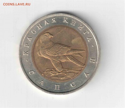 Красная книга 94 год, Сапсан. - 127