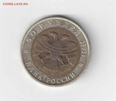 Красная книга 93 год, Черноморская афалина. - 162 (2)