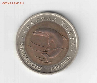 Красная книга 93 год, Черноморская афалина. - 162