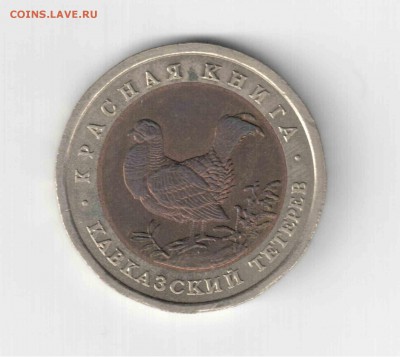 Красная книга 93 год, Кавказский тетерев. - 165