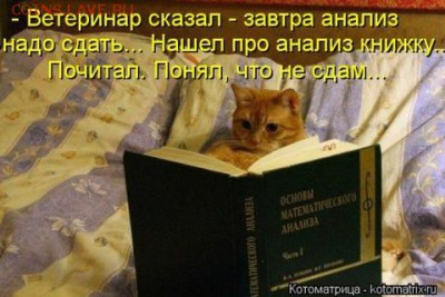 юмор - 422