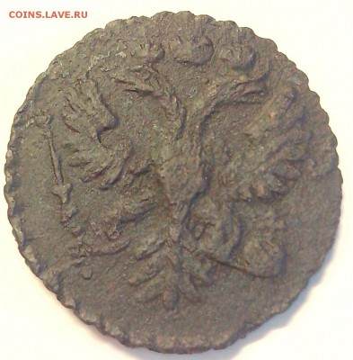 полушка 1731 - 00 006