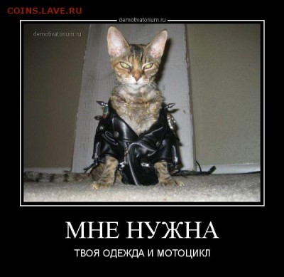 юмор - 0810131107029063