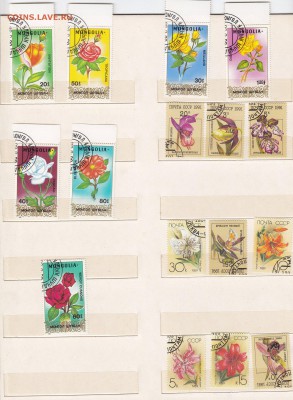 марки флора 2. до 3.4.14. в 21.00. - 20.