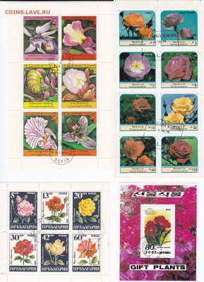 марки флора 2. до 3.4.14. в 21.00. - 18.19.