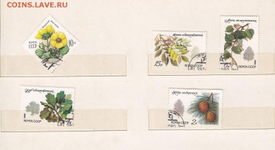 марки флора 2. до 3.4.14. в 21.00. - 17.