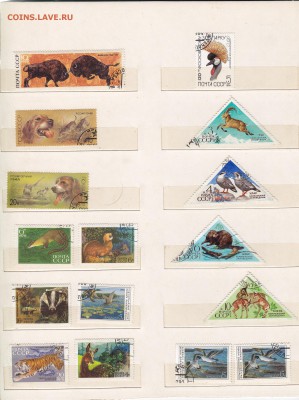 марки.фауна СССР. до 3.4.14. в 21.00. - 8.9.