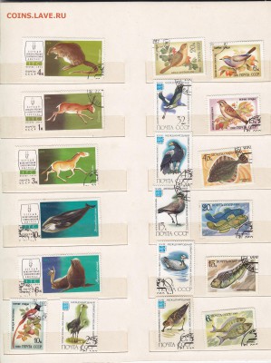 марки.фауна СССР. до 3.4.14. в 21.00. - 8,9,
