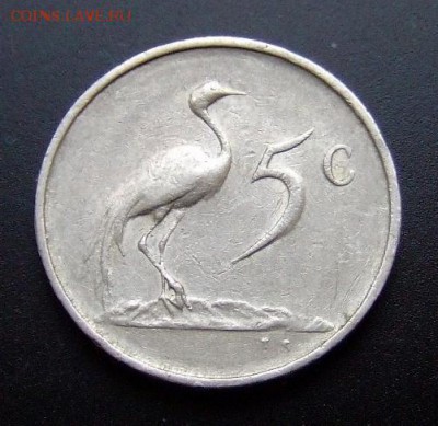 2 - ЮАР 5 центов (1979) «Голубой журавль; Николаас Дидерихс» №1 Р