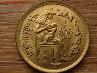 Египет 10 миллимов 1979 фао юбилейка до 03.04.14 в 21.00 М - IMG_4190